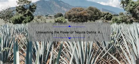 The Alchemy of Tequila: Infusing Magic into your Spirits